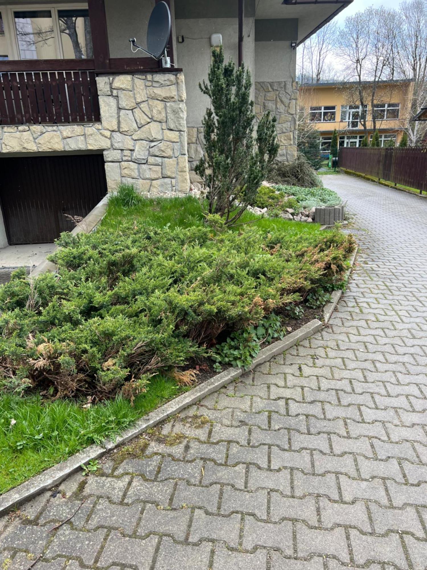 Apartament Sniezka Zakopane Zewnętrze zdjęcie